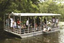 Plantation and Swamp Tour